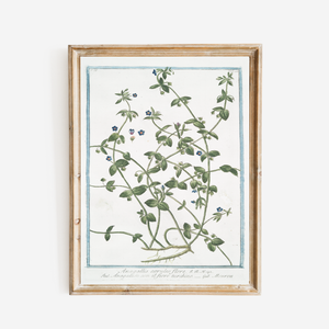 18th Century Blue Floral Buds Art Print